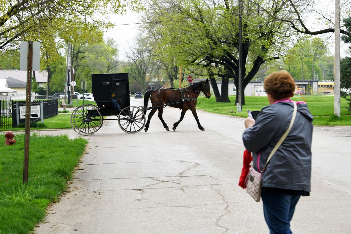 077 Susie Hageman sees the Amish buggy.JPG